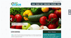 Desktop Screenshot of elitozon.com